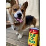 A dog standing behind a dog toy shaped like a can, designed with the Slap Ya Mama branding, on a neutral background.