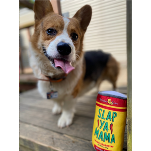 
                  
                    Load image into Gallery viewer, A dog standing behind a dog toy shaped like a can, designed with the Slap Ya Mama branding, on a neutral background.
                  
                